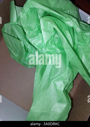 Zerknittertes, grünes Geschenkpapier füllt das Innere einer normalen Schachtel und erzeugt einen lebendigen Kontrast zum neutralen Hintergrund. Textur und Farbe inspirieren Stockfoto