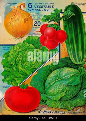 Maules Saatgutkatalog, Philadelphia, Pa, die Firma, Zwiebeln, Pflanzen, Kataloge, Blumen, Gartenarbeit, Maule WM Henry Firm, Baumschulen, Gartenbau, Baumschulen, Baumschulen, Pennsylvania, Stauden, Philadelphia, Saatgutindustrie und -Handel, Saatgut, Gemüse, Prizetaker-Zwiebeln, frühe weiße Spinatgurke, frühester Scharlach-Rettich, prächtige Tomaten, Maikönig-Salat, dänischer Kugelkopfkohl, Gartengeschichten, in Blüte, Solanum lycopersicum, Tomaten, Raphanus sativus, Rettich, Allium cepa, Zwiebeln, Lactuca sativa, Salat, Cucumis sativus, Gurke., Eine lebendige Anzeige verschiedener Gemüsesorten, die einen entzückenden Asso bieten Stockfoto