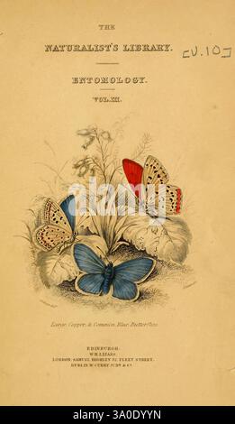The Natural History of British Butterflies Dublin, S. Highley, 1840., eine komplizierte Illustration aus einem Band der „Naturalist's Library“, die der Entomologie gewidmet ist und eine detaillierte Darstellung verschiedener Schmetterlinge zeigt. Das Kunstwerk zeigt die lebendigen Farben und Muster zweier Schmetterlingsarten, die sich elegant in zarten Blumenelementen befinden. Das Design zeigt eine Reihe von Schmetterlingen, darunter ein auffälliger blauer und andere in Rot- und Cremetönen, die die Vielfalt dieser Insekten unterstreichen. Die Komposition wird durch einen komplizierten Hintergrund aus Blättern und Blüten bereichert Stockfoto