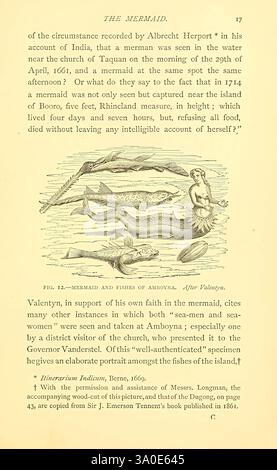 Sea Fables Explained, London, W. Clowes and Sons, ltd, 1883, Folklore, Ocean, Monster Real, Halloween, Meerjungfrau, Herbstfarben, diese Illustration zeigt eine Meerjungfrau neben verschiedenen Fischen, die mit einem Schwerpunkt auf der anmutigen Form und dem fließenden Haar der mythischen Kreatur gezeichnet ist. Der Oberkörper der Meerjungfrau ist menschenähnlich, während ihre untere Hälfte in einen Fischschwanz übergeht, was ihre aquatische Natur symbolisiert. Um sie herum gibt es detailreiche Fische, die eine Reihe von Formen und Größen zeigen, die den Reichtum der Unterwasserszene verstärken. Das Kunstwerk wird von Text begleitet, der auf historische Berichte und Namen verweist, h Stockfoto