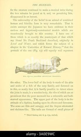 Sea, Fables, erklärt, London, W. Clowes and Sons, Ltd, 1883, Ocean, Halloween, Folklore, Meerjungfrau, Feejee Meerjungfrau, Monster, echt, die Seite enthält eine Illustration und einen begleitenden Text, in dem das Konzept der Meerjungfrauen diskutiert wird, insbesondere eine japanische künstliche Meerjungfrau. Der Text erklärt den historischen Glauben an die Existenz dieser Kreaturen und hebt die Feinheiten ihres Designs hervor. Die untere Hälfte der Meerjungfrau wird als einem Karpfen ähnlich beschrieben, der aus Holz gefertigt und zusammengebunden ist, was die Mischung aus Kunst und Folklore veranschaulicht. Ein Verweis auf eine frühere Arbeit mit dem Titel „Land and Stockfoto