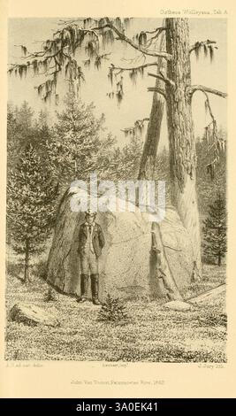 Ootheca Wolleyana London, verkauft von R. H. Porter, 1864-1907. In einer bezaubernden natürlichen Umgebung steht neben einem großen, zerklüfteten Felsen eine hohe Figur, umgeben von hoch aufragenden Bäumen, die mit hängendem Moos verziert sind. Die Person, die in historischen Kleidern gekleidet ist, blickt nachdenklich in die Ferne. Die Kulisse zeigt einen dichten Wald, der von einer Mischung aus Nadelbäumen geprägt ist, während ein Gefühl der Ruhe die Szene durchzieht. Die eingeätzten Details erfassen die Textur des Felsblocks und des Laubs und veranschaulichen die Harmonie zwischen der Menschheit und der ungezähmten Wildnis. Dieser Moment spiegelt eine tiefe Wertschätzung f wider Stockfoto