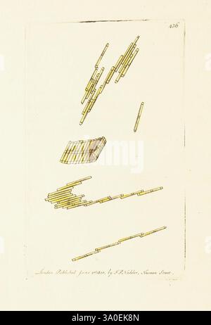 Die Verschiedenheit des Naturforschers oder farbige Figuren von Naturobjekten. London, gedruckt für Nodder & Co, 1789-1813. Tiere, Bildwerke, Museum Victoria, George Shaw, die Illustration zeigt eine Reihe von langen, geraden Linien und geometrischen Formen, die in verschiedenen Richtungen und Perspektiven angeordnet sind. Das Design scheint eine Sammlung schlanker, rechteckiger Formen zu zeigen, die teilweise übereinander oder übereinander angeordnet sind, während andere darüber verstreut sind. Die Linien können eine Untersuchung dreidimensionaler Objekte darstellen, wobei der Schwerpunkt auf ihren räumlichen Beziehungen und Anordnungen liegt. Jedes Element ist deutlich umrissen, Sugge Stockfoto