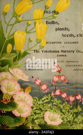 Beschreibender Katalog von Blüten, Zierbäumen, Sträuchern, Zwiebeln, Kräutern, Kletterer, Obstbäume, &c, &c, &c, &c, Yokohama, Japan, Yokohama Nursery Co, Kataloge, Hecken, Japan, Baumschulen, Gartenbau, Baumschulen, Stauden, Yokohama-shi, Histsciart, Ein lebendiges und informatives Cover eines beschreibenden Katalogs der Yokohama Nursery Co., Limited, datiert von 1913–1914. Der obere Teil zeigt üppig gelbe Blüten mit langen Blütenblättern, während der untere Teil zarte rosa Blüten zeigt, die beide aufwändig illustriert sind. Dieses Design betont das Angebot der Gärtnerei an Zwiebeln, Pflanzen und Samen, Stockfoto