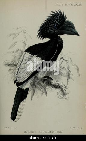 Proceedings of the Zoological Society of London, London, Academic Press, Zeitschriften, Zoologie Stockfoto