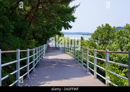 Buyeo County, Südkorea - 27. Mai 2021: Eine ruhige, erhöhte Promenade schlängelt sich durch üppige grüne Bäume und bietet einen malerischen Blick auf den Geum River Stockfoto