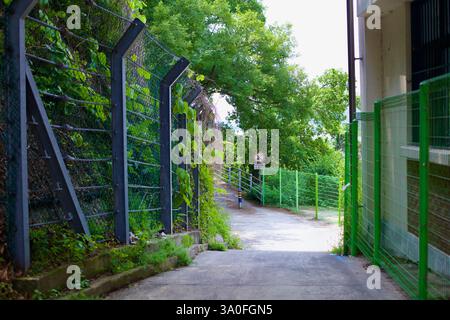 Buyeo County, Südkorea - 27. Mai 2021: Ein schmaler Betonweg, der von grünen und Stacheldrahtzäunen gesäumt ist, schlängelt sich durch dichte Vegetation, die zu einem führt Stockfoto