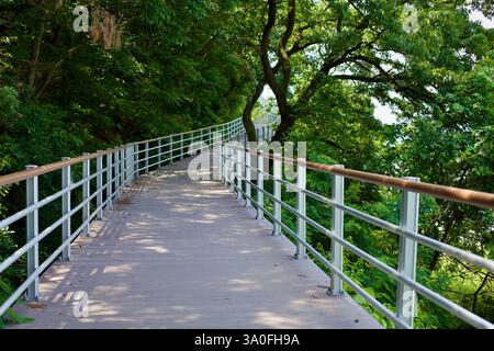 Buyeo County, Südkorea - 27. Mai 2021: Ein gewundener, erhöhter Fußweg mit Metallgeländern durchquert dicht grünes Laub und bietet eine malerische Route Stockfoto