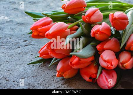 Rote Tulpen auf dunklem Hintergrund. Tulpen mit grünen Blättern. Wunderschöne Blumen. Blumenstrauß Stockfoto