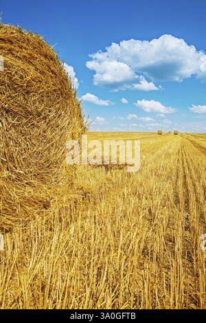 Strohballen auf geerntetem Weizenfeld Stockfoto