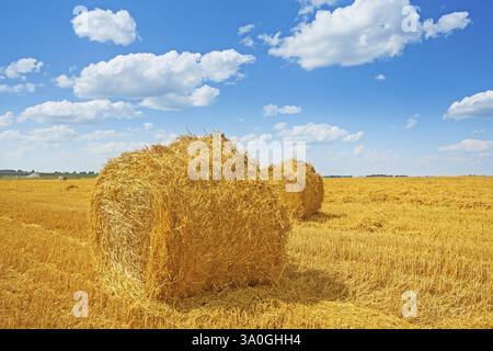 Strohballen auf geerntetem Feld und wunderschönem bewölktem Himmel Stockfoto