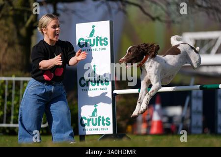 Die Paralympierin Ellie Simmonds, die in der Present-Line-up für die Crufts TV-Show neu angekündigt wurde, jubelt dem englischen Springer Spaniel Ozzy, der während der offiziellen Veröffentlichung der Crufts Dog Show 2025 im NEC Birmingham über ein Hindernis springt. Bilddatum: Dienstag, 4. März 2025. Stockfoto