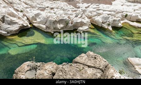 Erkunden Sie den atemberaubenden Kalysan Canyon in Socotra, wo türkisfarbenes Wasser auf einzigartige weiße Felsformationen unter der hellen Sonne trifft. Stockfoto