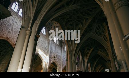 Besucher bewundern die beeindruckende Innenarchitektur einer historischen Kirche in Chambery, die komplizierte Schnitzereien und elegante Bögen zeigt. Stockfoto