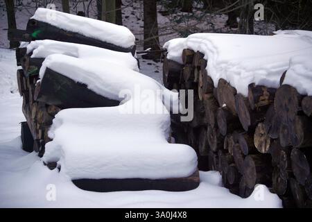 Gefällt Holz oder Baumstumpf unter Schnee, schneiden Sie Naturholz Stockfoto