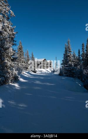Wunderschöne Winterlandschaft mit blauem Himmel, schneebedeckten Kiefern und hölzernen Skihütten in der Ferne. Stockfoto