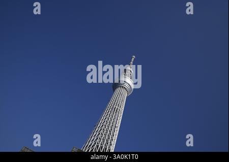 Landschaft mit malerischem Blick auf Tōkyō Sukaitsuri, den Sende- und Aussichtsturm, bekannt als „Sky Tree“ in Sumida, Tokio, Japan. Stockfoto