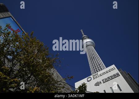 Landschaft mit malerischem Blick auf Tōkyō Sukaitsuri, den Sende- und Aussichtsturm, bekannt als „Sky Tree“ in Sumida, Tokio, Japan. Stockfoto