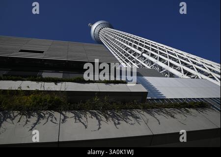 Landschaft mit malerischem Blick auf Tōkyō Sukaitsuri, den Sende- und Aussichtsturm, bekannt als „Sky Tree“ in Sumida, Tokio, Japan. Stockfoto