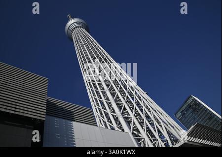 Landschaft mit malerischem Blick auf Tōkyō Sukaitsuri, den Sende- und Aussichtsturm, bekannt als „Sky Tree“ in Sumida, Tokio, Japan. Stockfoto