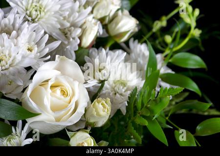 Schöne Anordnung einer Vielzahl von weißen Blumen mit dunkelgrünen Stielen und Blättern auf schwarzem Hintergrund Stockfoto
