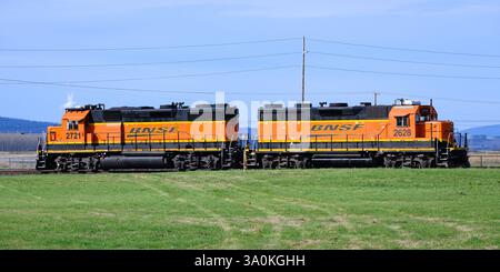 Mount Vernon, WA, USA - 26. Februar 2025; Paar BNSF GP39 Diesellokomotive auf grünem Rasen auf dem ländlichen Feld Stockfoto