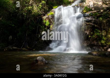 Malerischer Wasserfall, der durch einen üppigen grünen Wald fließt Stockfoto