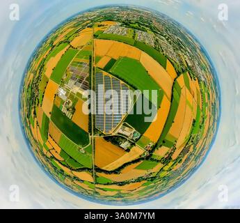 Luftaufnahme, Solarpark Photovoltaik Anlage Stemweg, Biogasanlage, Blumen Orchideen Röhl Gewächshäuser und Anbau, umgeben von Wiesen und Feldern, Stockfoto