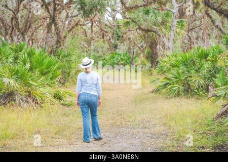 Eine Frau wandert im Jelks Nature Preserve in der Nähe von Venice, Florida Stockfoto