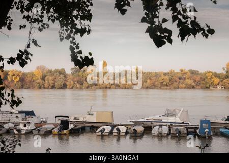 Boote liegen an einem kleinen Jachthafen an der Donau in Serbien, eingerahmt von Herbstlaub am gegenüberliegenden Ufer. Der ruhige Fluss markiert lokale Erholungsmöglichkeiten Stockfoto