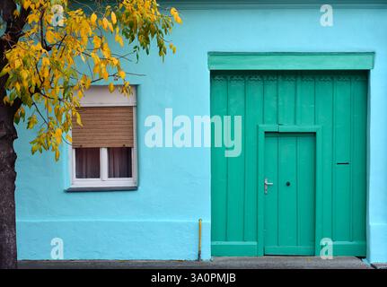 Alte grüne Holztür an einem blauen Haus und Baum mit gelben Blättern Stockfoto