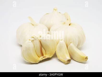 Nahaufnahme von Knoblauchzwiebeln und -Nelken isoliert auf weißem Hintergrund Stockfoto