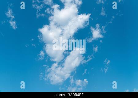 Tagsüber sehen Sie einige große weiße tief hängende Cumulus-Wolken an einem wunderschönen blauen Himmel. Stockfoto