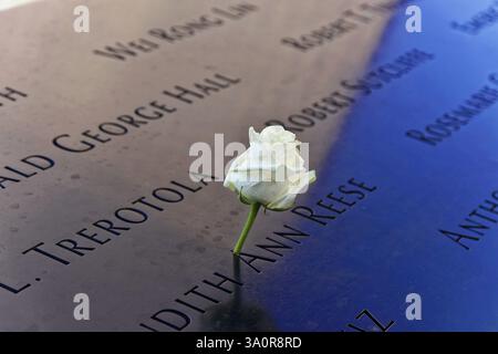 One World Trade Center, World Trade Center Site, Ground Zero, Manhattan, New York, USA, weiße Rose auf einer schwarzen Gedenktafel mit eingravierten Namen, Sym Stockfoto