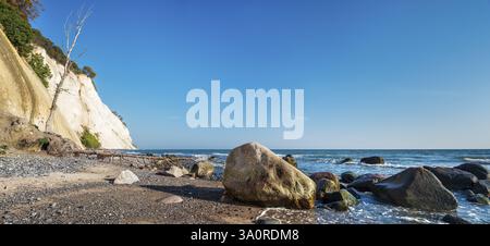 Strand mit Felsblöcken und entwurzelten Bäumen an den Kreidefelsen von Mons Klint an der Ostsee, Mon Island, Dänemark, Europa Stockfoto