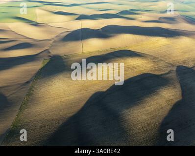 Ackerland in der Campina Cordobesa, dem fruchtbaren ländlichen Gebiet südlich der Stadt Cordoba. Luftaufnahme. Drohnenaufnahme. Provinz Cordoba, Andalusien, Spanien Stockfoto