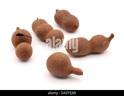 Tropische Früchte von Tamarind, isoliert auf weißem Hintergrund Stockfoto