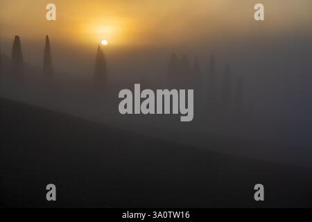 Geheimnisvolle Nebelszene des Sonnenaufgangs mit Zypressen-Silhouetten auf hügeliger Landschaft Stockfoto