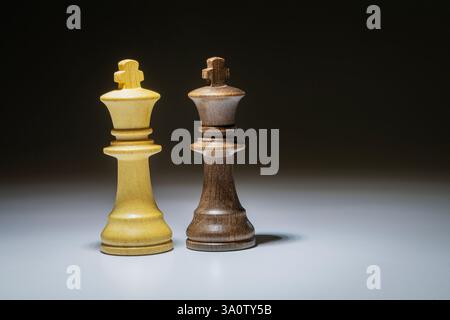 Ein schwarzes und ein weißes Königsschach auf einem schwarz-weiß abgestuften Hintergrund Stockfoto