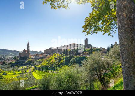Historische Stadt Castiglion Fiorentino und die Kirche Collegiata di San Giuliano. Schloss Montecchio im Hintergrund. Provinz Arezzo, Tuscany reg Stockfoto