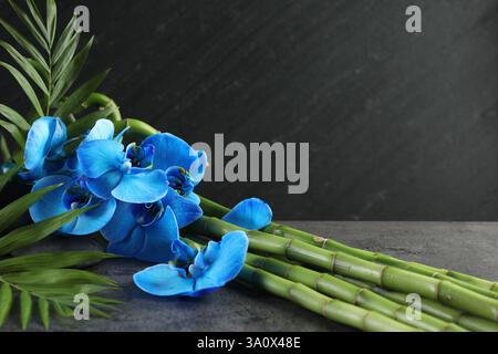 Wunderschöne blaue Orchideenblumen, Bambusstiele, grüne Blätter und Spa-Stein auf grauem Tisch, Nahaufnahme Stockfoto