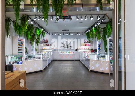 Moderne Einrichtung der Cannabis-Apotheke mit Glasvitrinen, grüner Einrichtung und heller Beleuchtung in New York City. New York. USA. Stockfoto