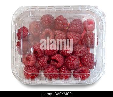 Himbeeren in durchsichtiger Kunststoffbox zum Verkauf isoliert auf weiß mit Beschneidungspfad im Lieferumfang enthalten Stockfoto