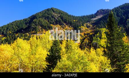 Saisonale Schicht: Herbstteppiche am Mountain Ridge entlang des US Highway 89 Stockfoto