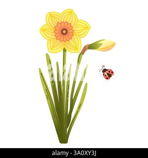 Illustration von hellgelber Narzissen mit grünen Blättern und süßem Marienkäfer in handgezeichneter Art Stock Vektor