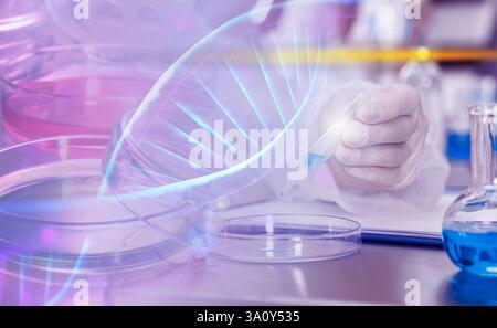 Biochemie. Wissenschaftler arbeiten im Labor, doppelte Exposition mit Petrischalen und DNA-Struktur Stockfoto