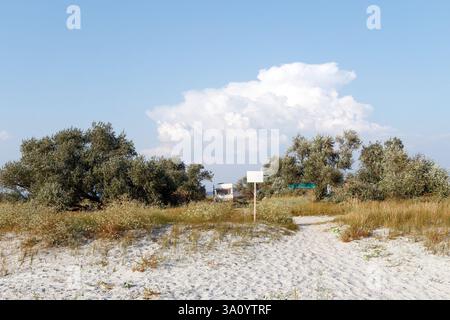 Ein Wohnwagen parkt in der Nähe eines Sandstrandes, umgeben von wilder Vegetation und Bäumen, was einen ruhigen und abgeschiedenen Campingplatz schafft. Stockfoto