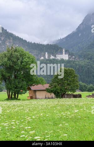 Hohenschwangau, Deutschland - 25. Juli 2017: Ein atemberaubender Blick auf das Schloss Neuschwanstein im Sonnenlicht, mit dem umliegenden grünen Wald und dem majestätischen Stockfoto