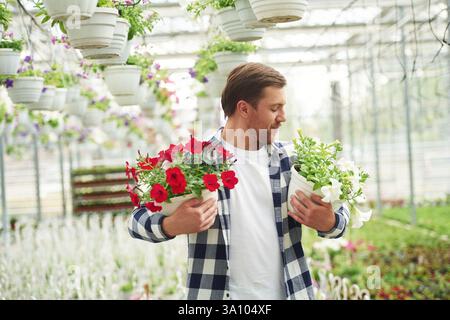 Schöne rote Blumen. Florist Mann, der im Gartencenter arbeitet. Erfolgreicher Mitarbeiter ist in einem hellen Gewächshaus. Stockfoto