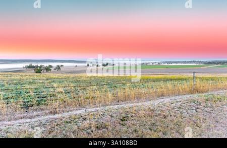 MT Marshall, Landschaft des Sonnenaufgangs mit Nebel und Frost über Farmen an einem Wintermorgen auf den Southern Downs, QLD, Australien Stockfoto